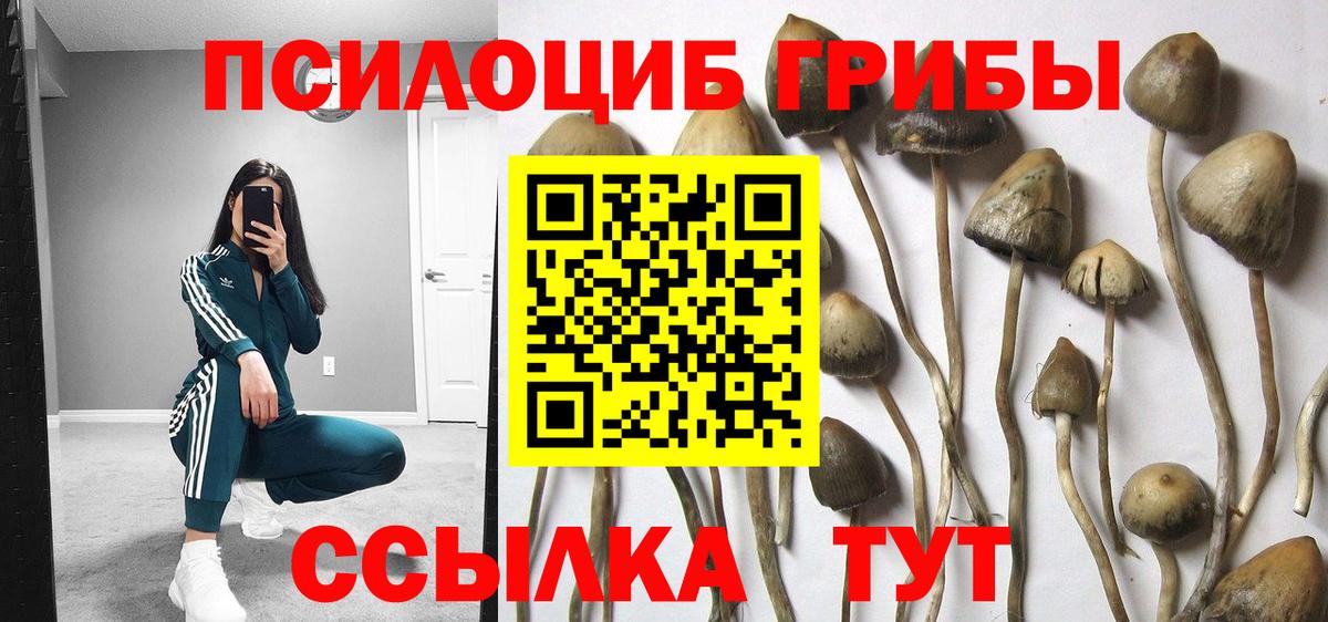 Аша  Псилоцибиновые грибы Magic Shrooms  Вход с VPN 